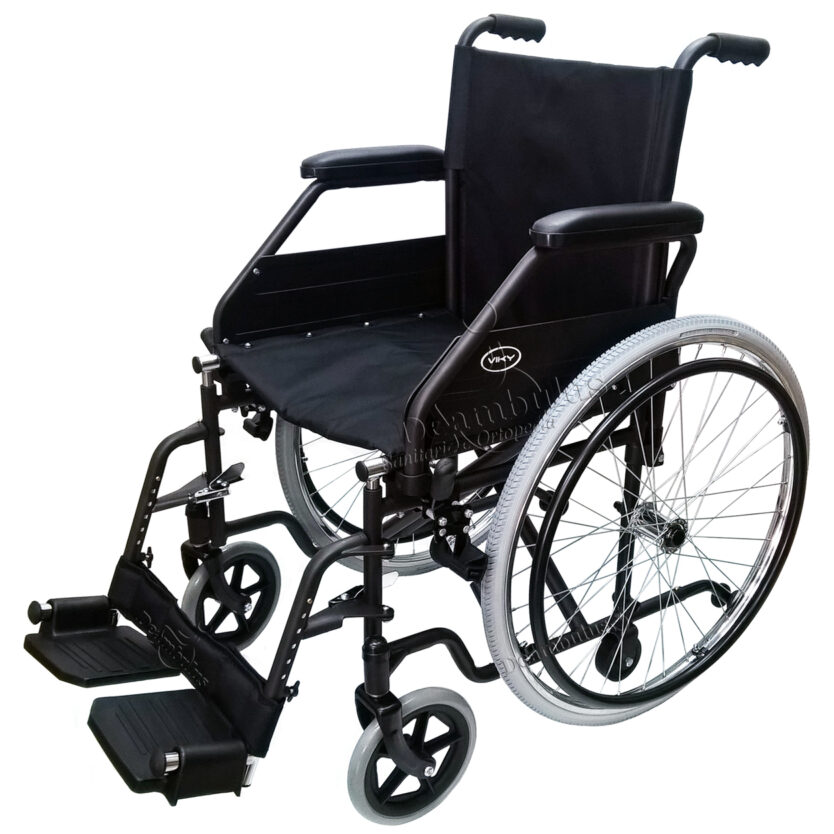 sedia a rotelle disabili doppia crociera seduta 46 Demarta - foto-8240